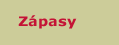Z�pasy