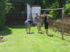 Petanque